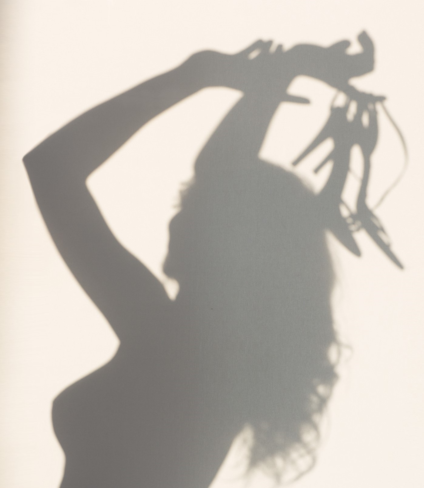 silhouette (crop)