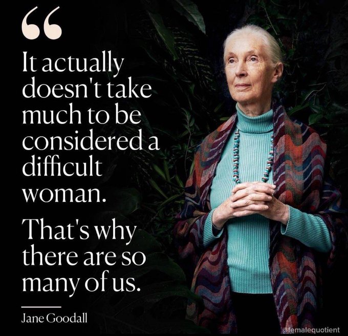 difficult woman quote